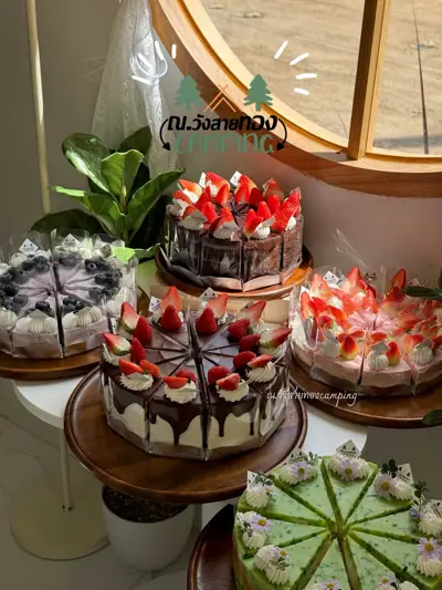 ณ.วังสายทอง Camping รูปที่ 9