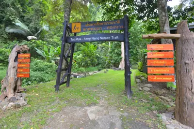 ลานกางเต็นท์ลานชมดาว อุทยานแห่งชาติตาดหมอก รูปที่ 2