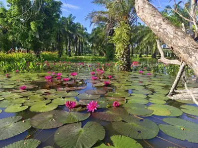 บ้านสวนภูเขาตะวันแคมป์ปิ้ง รูปที่ 7