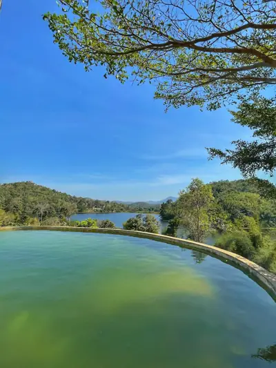 Camping Lake สวนผลไม้นิลมังกร รูปที่ 10