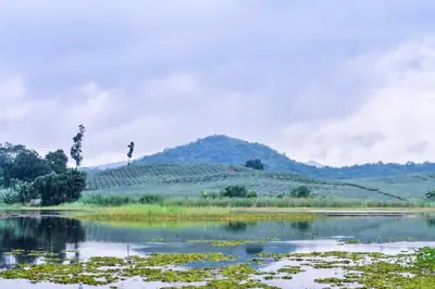 Camping Lake สวนผลไม้นิลมังกร รูปที่ 4
