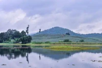 Camping Lake สวนผลไม้นิลมังกร รูปที่ 6