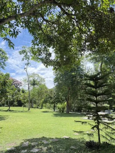Butterfly Camping and Café รูปที่ 2