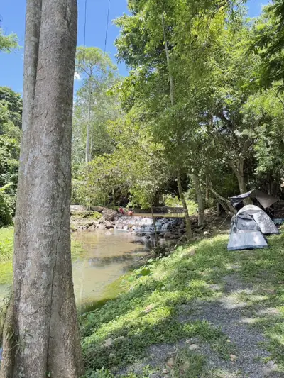 Butterfly Camping and Café รูปที่ 3