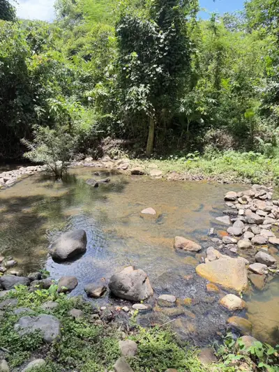 Butterfly Camping and Café รูปที่ 4