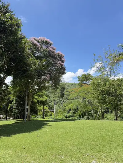Butterfly Camping and Café รูปที่ 5