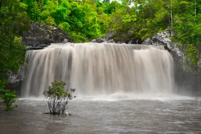 ลานกางเต็นท์ชาติตระการ รูปที่ 7