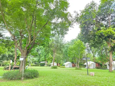 ณ นนท์ ลานกางเต็นท์ รูปที่ 2