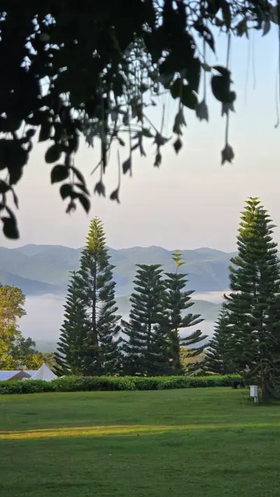 ไร่ภูนับดาว Phu Nub Dao Cafe & Farm รูปที่ 2