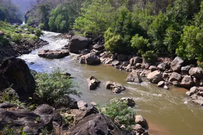 ลานกางเต็นท์น้ำตกแม่เตี๊ยะ อุทยานแห่งชาติออบหลวง รูปที่ 7