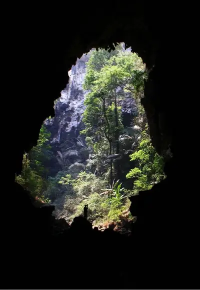 ลานกางเต็นท์ลำคลองงู รูปที่ 3