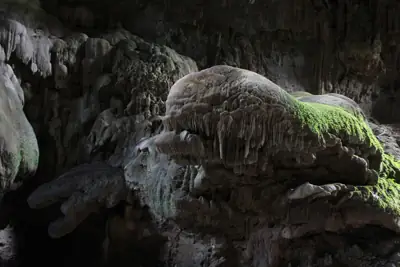 ลานกางเต็นท์ลำคลองงู รูปที่ 6
