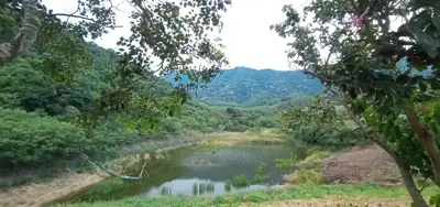จุดชมวิว&ลานกางเต็นท์บ้านเขาดิน รูปที่ 5
