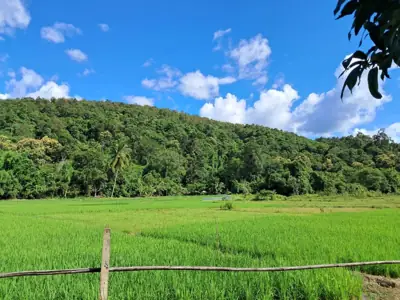 Burapa Camping รูปที่ 2