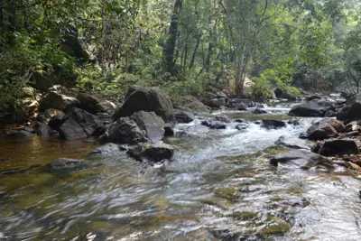 ลานกางเต็นท์ อุทยานแห่งชาติหมู่เกาะช้าง (ธารมะยม) รูปที่ 5