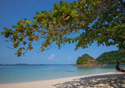 ลานกางเต็นท์ อุทยานแห่งชาติหมู่เกาะช้าง (ธารมะยม) รูปที่ 8