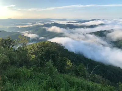 หน่วยพิทักษ์อุทยานฯ พุเตยที่ 3 ตะเพินคี่ รูปที่ 5