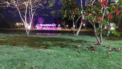 สวนสุมานัส แคมป์ รูปที่ 8