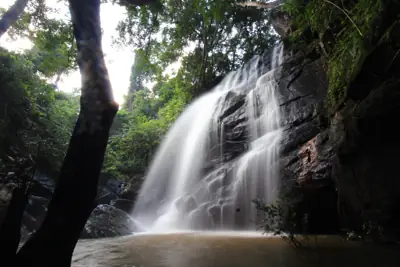 ลานกางเต็นท์ห้วยยางแห้ง รูปที่ 1