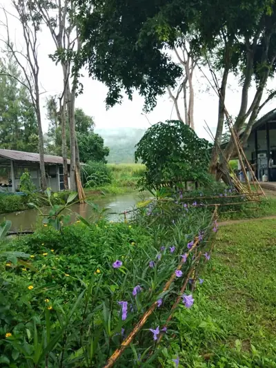 บ้านไร่เครือศิลป์ รูปที่ 10