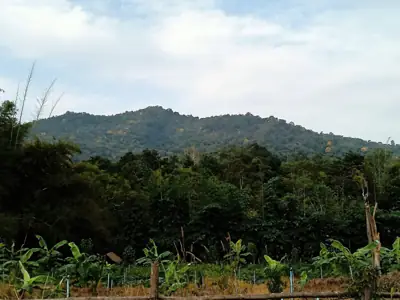 บ้านไร่เครือศิลป์ รูปที่ 5