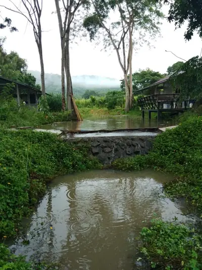 บ้านไร่เครือศิลป์ รูปที่ 9