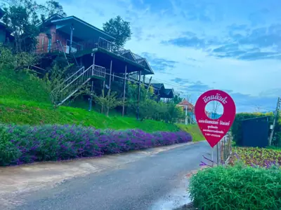 เดอะอินทนนท์วัลเลย์ The Inthanon Valley รูปที่ 2