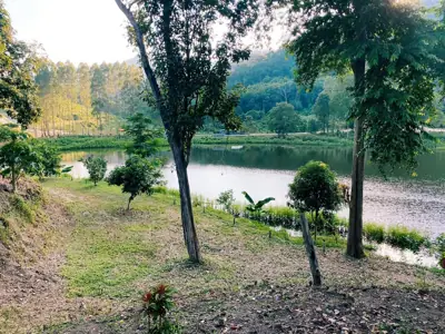 บ้องตี้แคมป์กราวด์ Bongtie Campground รูปที่ 3