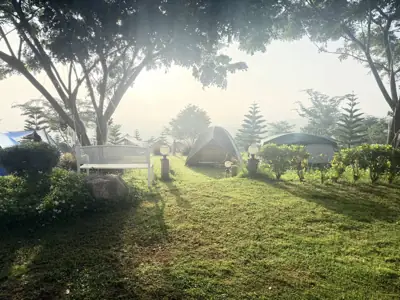 ภูร่าเริง Camping Cafe รูปที่ 10