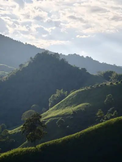 สวนตาจิตรลานกางเต็นท์ดอยสกาด รูปที่ 3