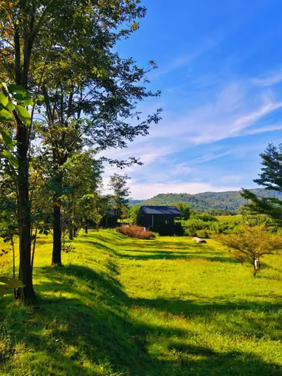 ปางสวรรค์ แคมป์ปิ้ง รูปที่ 4